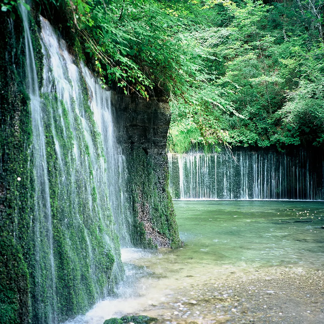 写真：有名な場所を観光