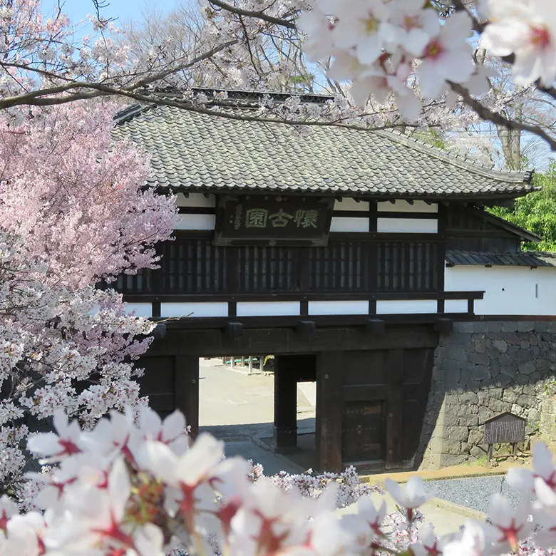 写真：小諸城址懐古園