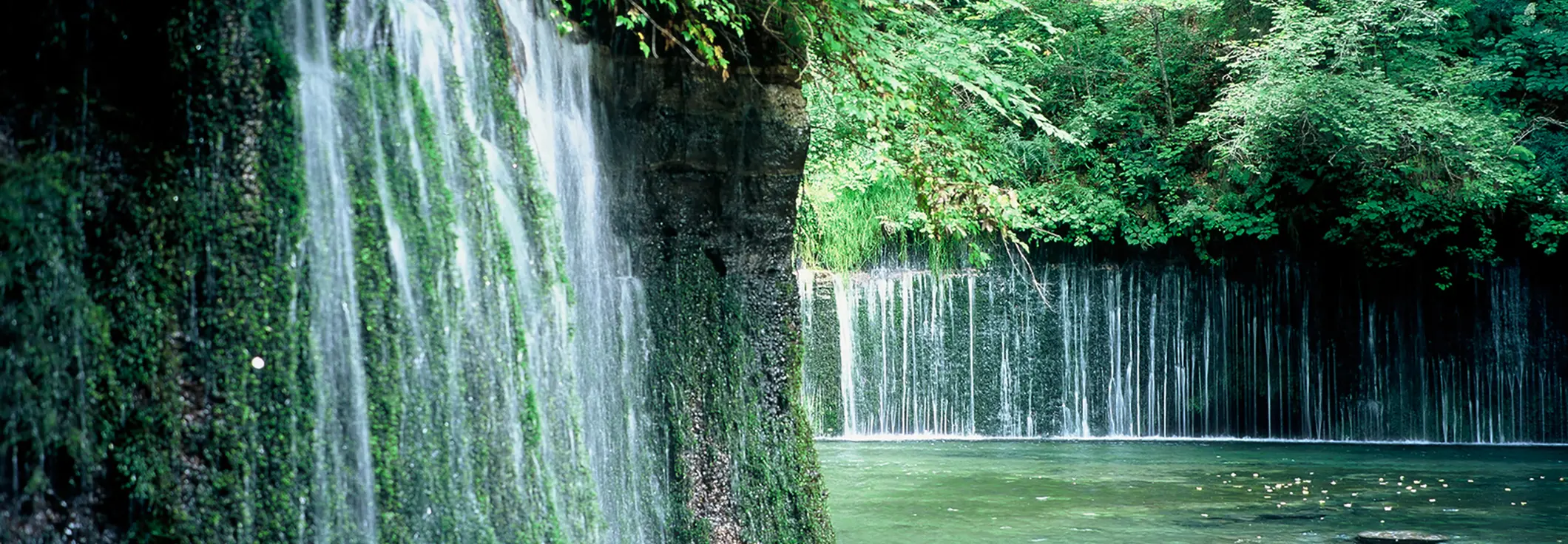 写真：有名な場所を観光